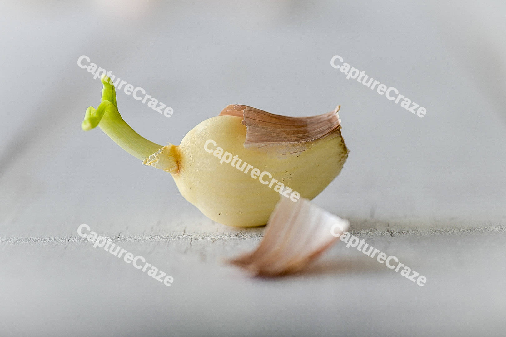 Peeled garlic with the root
